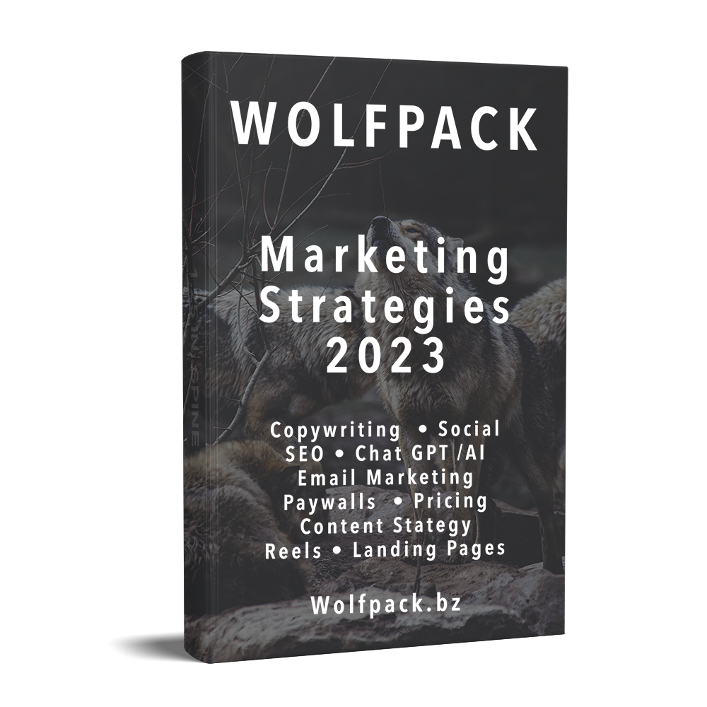 2023 Marketing Strategy ebook